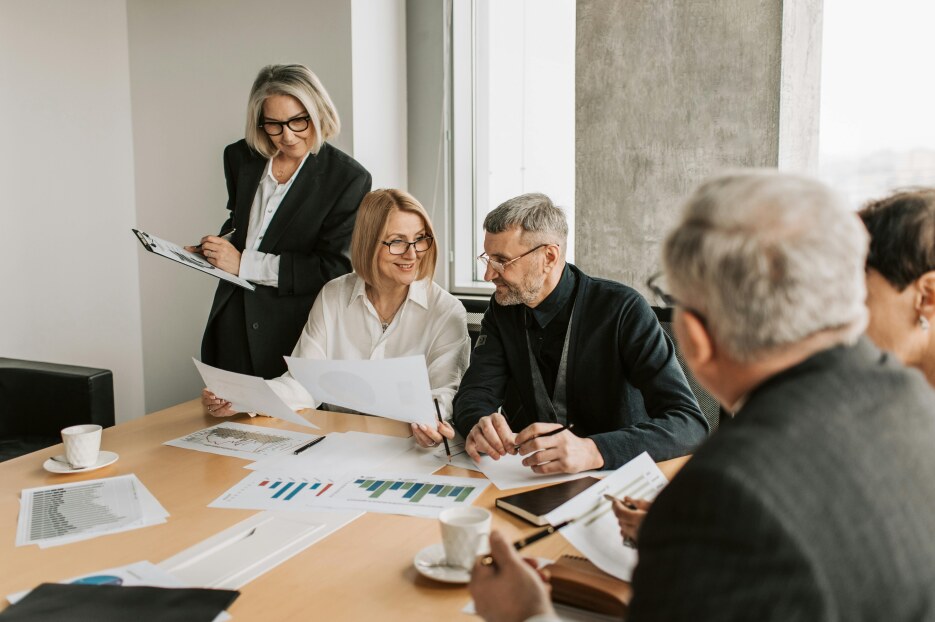 Наша команда Meluniravote